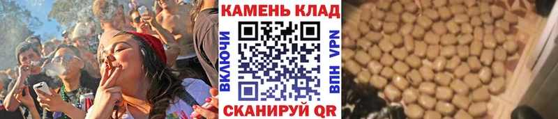 ГАШ гарик  Купить где  Новокубанск 