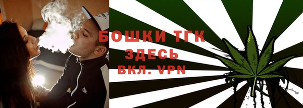 сатива Волосово