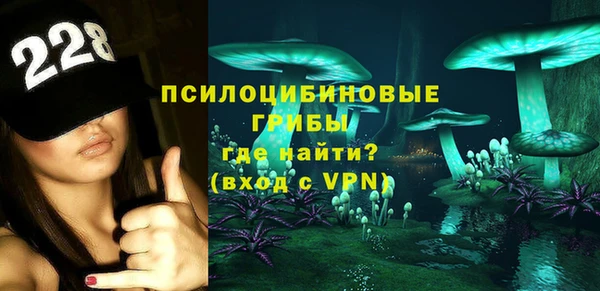 PSILOCYBIN Вяземский