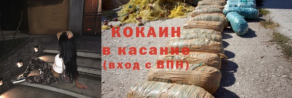 прущие грибы Горно-Алтайск