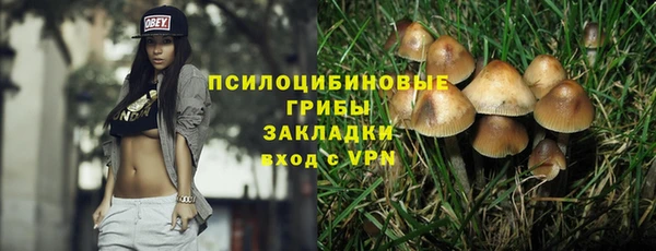 МДПВ Горняк