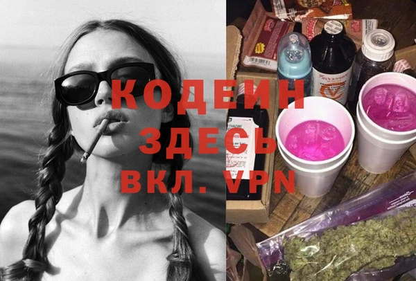 PSILOCYBIN Вяземский